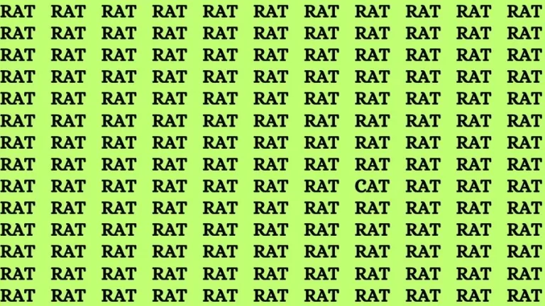 Optical Illusion Brain Challenge: If you have Sharp Eyes Find the Word Cat among Rat in 20 Secs