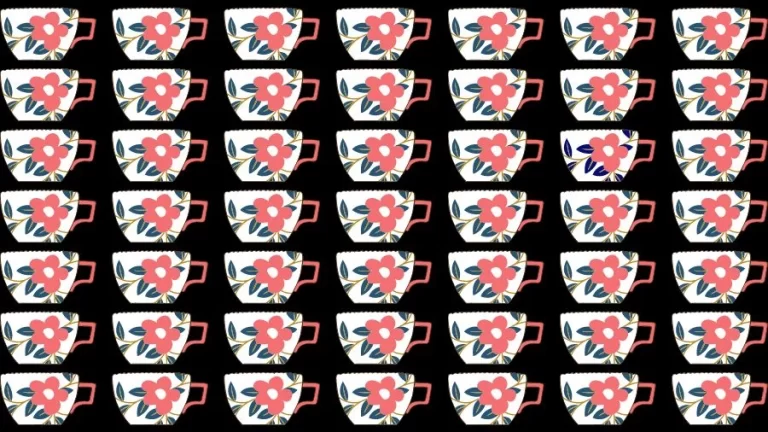 Optical Illusion Brain Test: If you have Eagle Eyes find the Odd Cup in 15 Seconds