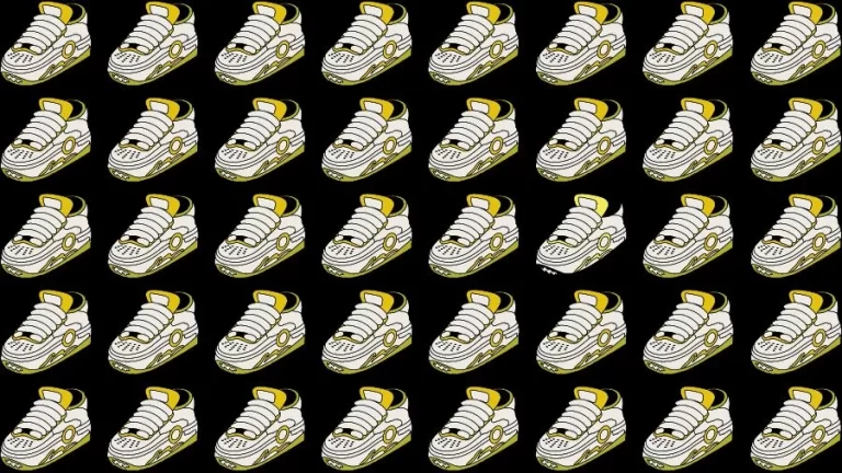 Optical Illusion Challenge: If you have Eagle Eyes find the Odd Shoe in 15 Seconds