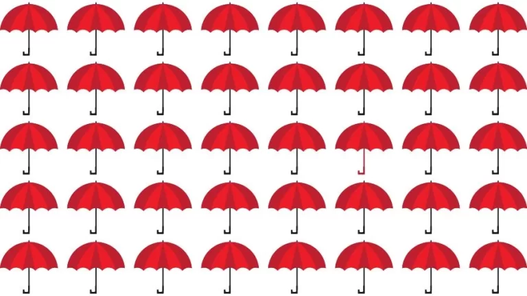 Optical Illusion Brain Test: If you have Eagle Eyes find the Odd umbrella in 15 Seconds