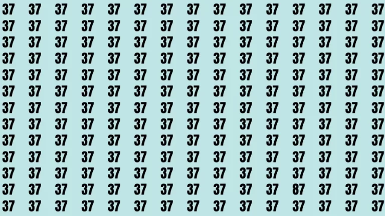 Observation Brain Test: If you have 50/50 Vision Find the Number 87 among 37 in 15 Secs