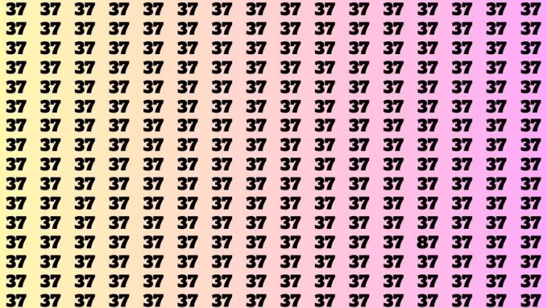 Observation Brain Challenge: If you have Hawk Eyes Find the Number 87 among 37 in 15 Secs