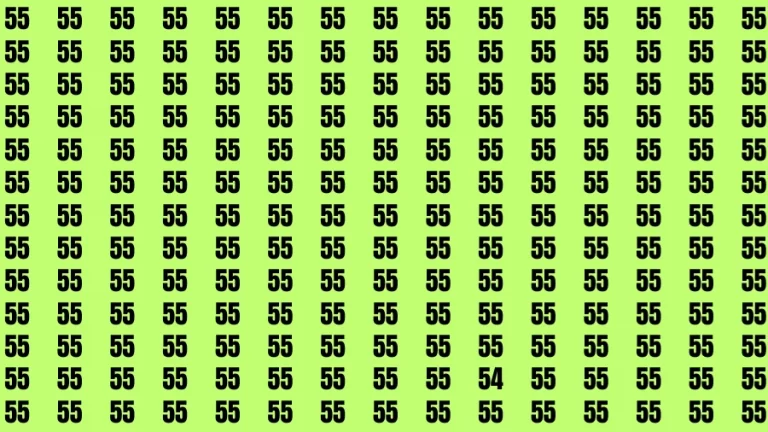 Observation Visual Test: If you have Eagle Eyes Find the number 54 among 55 in 12 Secs