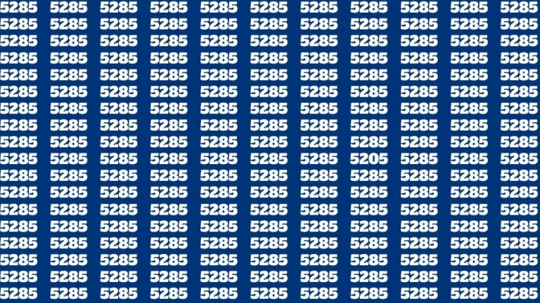 Observation Skill Test: If you have Sharp Eyes Find the Number 5205 in 15 Secs