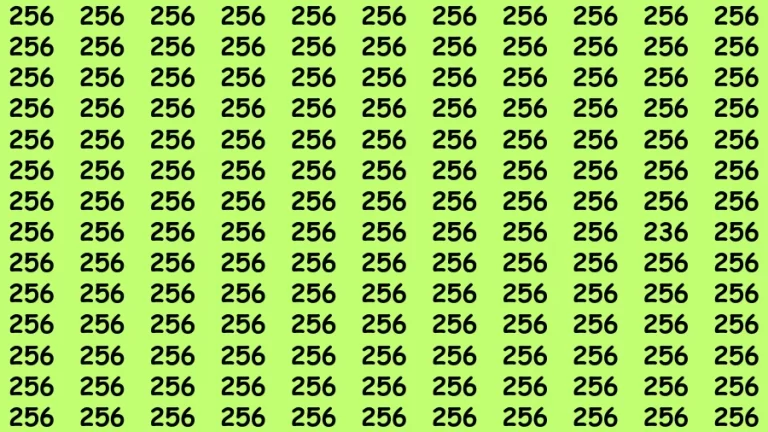 Observation Brain Challenge: If you have Eagle Eyes Find the number 236 in 12 Secs