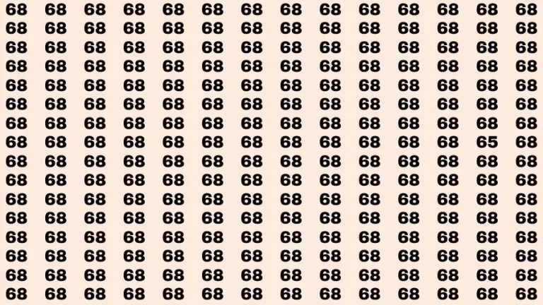 Observation Brain Challenge: If you have Hawk Eyes Find the Number 65 among 68 in 12 Secs