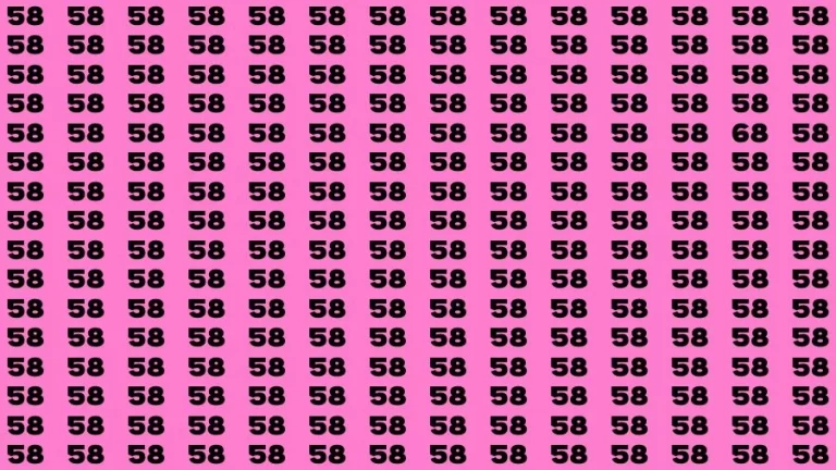 Observation Brain Challenge: If you have Sharp Eyes Find the Number 68 among 58 in 15 Secs