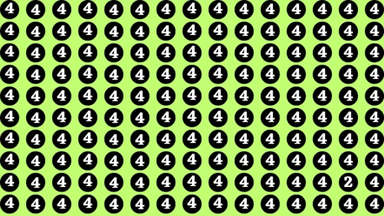 Observation Brain Challenge: If you have Hawk Eyes Find the Number 2 among 4 in 9 Secs