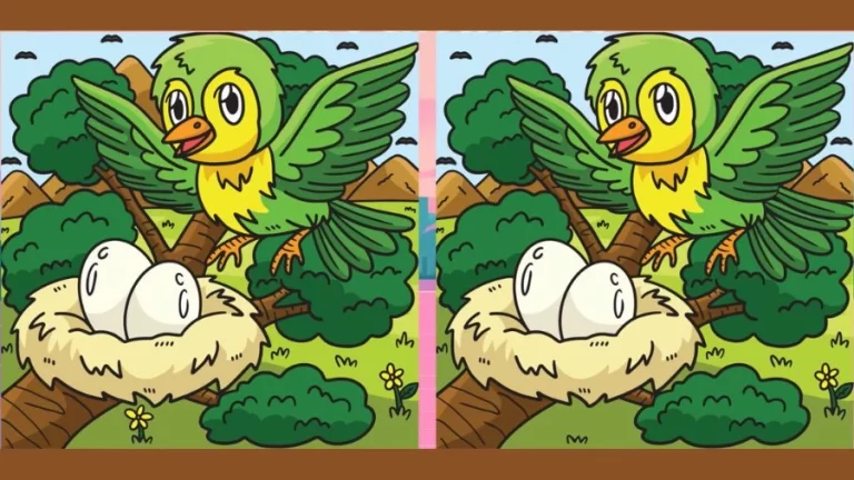 Optical Illusion Find the Difference: If You Have Eagle Eyes Find the Difference Between Two Images Within 22 Seconds?