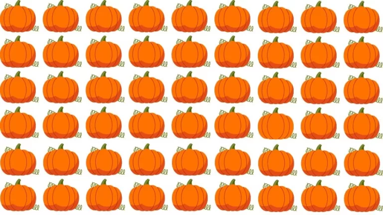 Optical Illusion Visual Test: If you have Eagle Eyes find the Odd Pumpkin in 18 Seconds