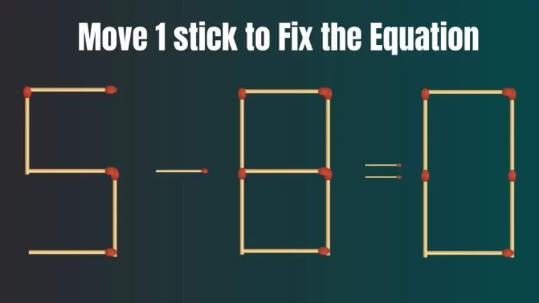 5-8=0 Move 1 Matchstick and Correct this Equation Within 20 Seconds | Brain Teaser Matchstick Puzzle