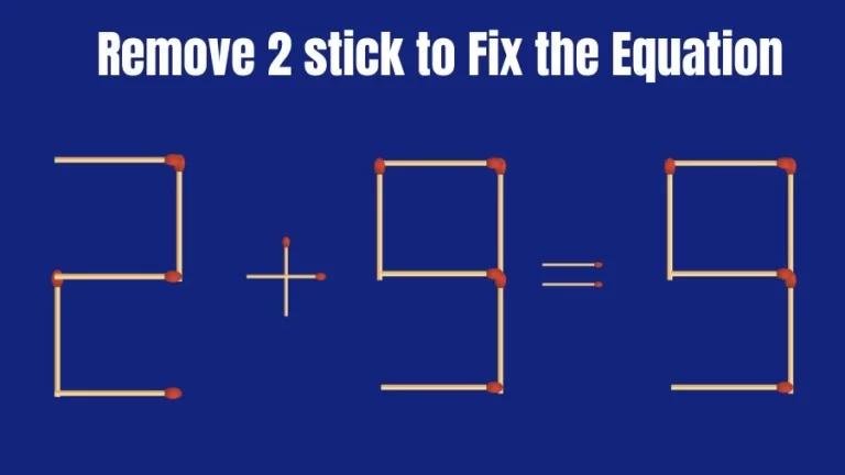 Brain Teaser: 2+9=9 Remove 2 Matchsticks to Fix the Equation | Matchsticks Puzzle