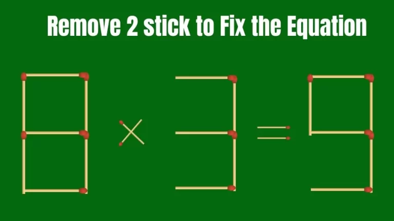 Brain Teaser: 8×3=9 Remove 2 Matchsticks to Fix the Equation | Matchsticks Puzzle