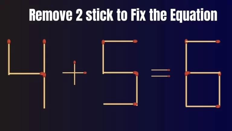 Matchstick Brain Teaser: 4+5=6 Remove 2 Matchsticks to Fix the Equation | Matchsticks Puzzle