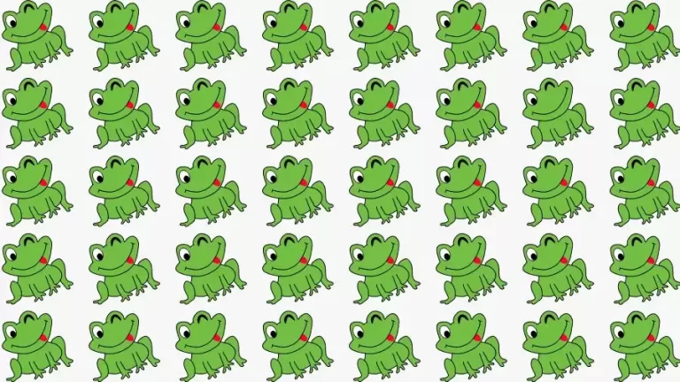 Observation Skill Test: Can you find the Odd Frog in 10 Seconds?