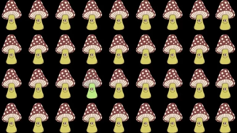 Observation Skill Test: Can you find the Odd Mushroom in 10 Seconds?