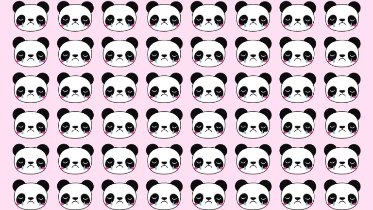 Observation Skill Test: Can you find the Odd Panda in 10 Seconds?