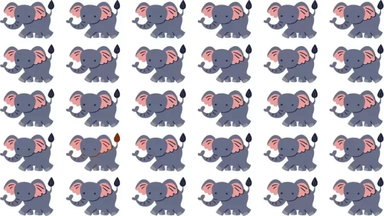 Observation Skills Test: Can you find the Odd Elephant in 10 Seconds?