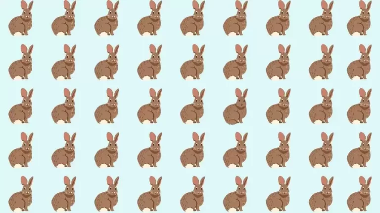 Observation Skills Test: Can you find the Odd Rabbit in 10 Seconds?