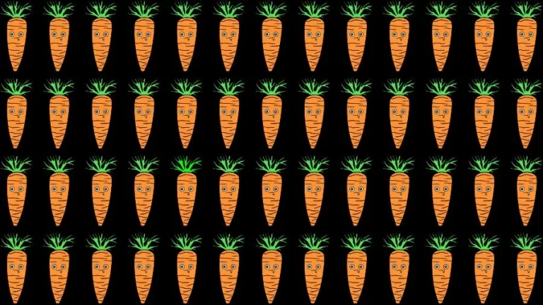 Observation Skills Test: Try to find the Odd Carrot in this Image