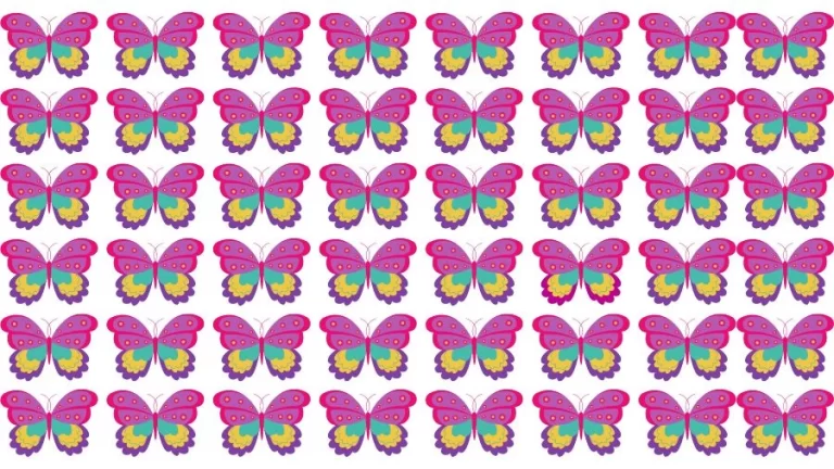 Optical Illusion Brain Challenge: Can you find the Odd Butterfly in 12 Seconds?