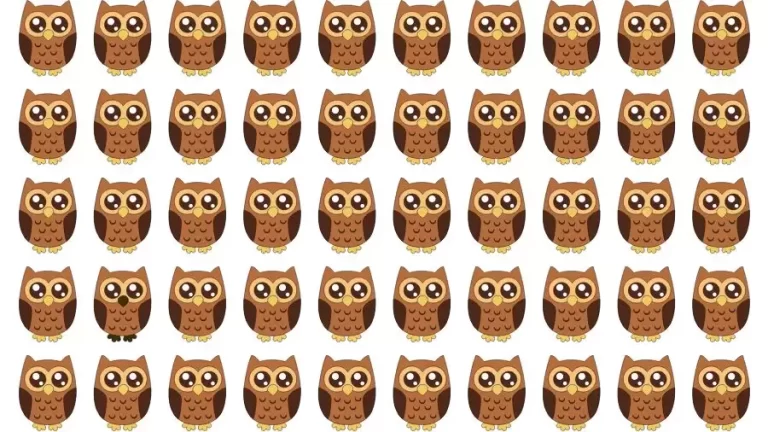 Optical Illusion Challenge: If you have Eagle Eyes find the Odd Owl in 15 Seconds