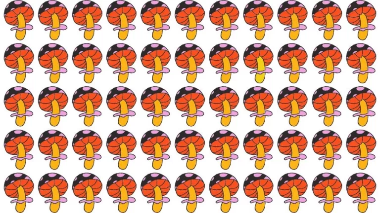 Optical Illusion Eye Test: Can you find the Odd Mushroom in 20 Seconds?