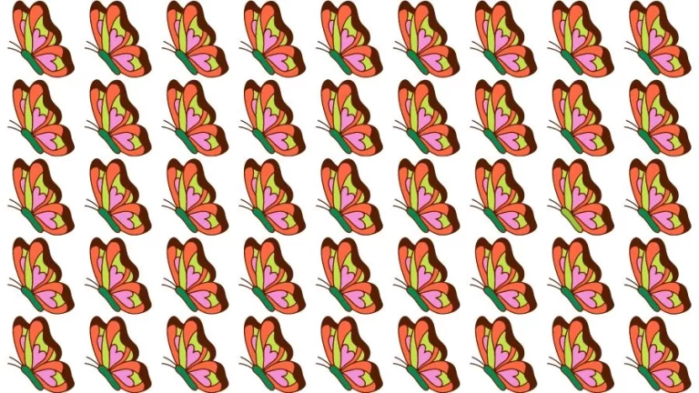 Optical Illusion Eye Test: Try to find the Odd Butterfly in this Image