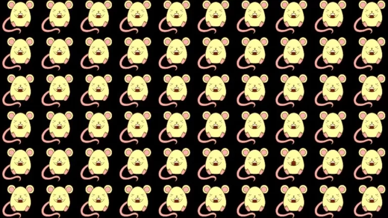 Optical Illusion Eye Test: Try to find the Odd Rat in this Image