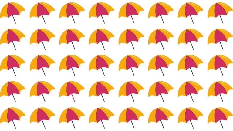 Optical Illusion Eye Test: Try to find the Odd Umbrella in this Image