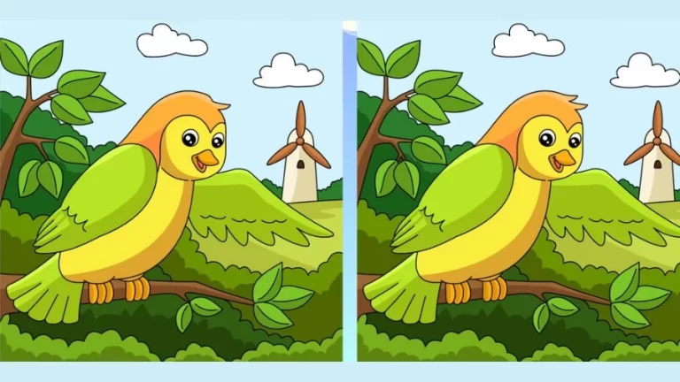 Optical Illusion Find the Difference: If You Have Hawk Eyes Find the Difference Between Two Images Within 25 Seconds?