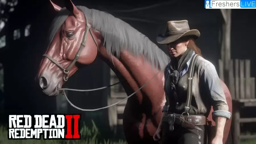 where-to-get-horse-brush-red-dead-redemption-2-online-how-to-brush