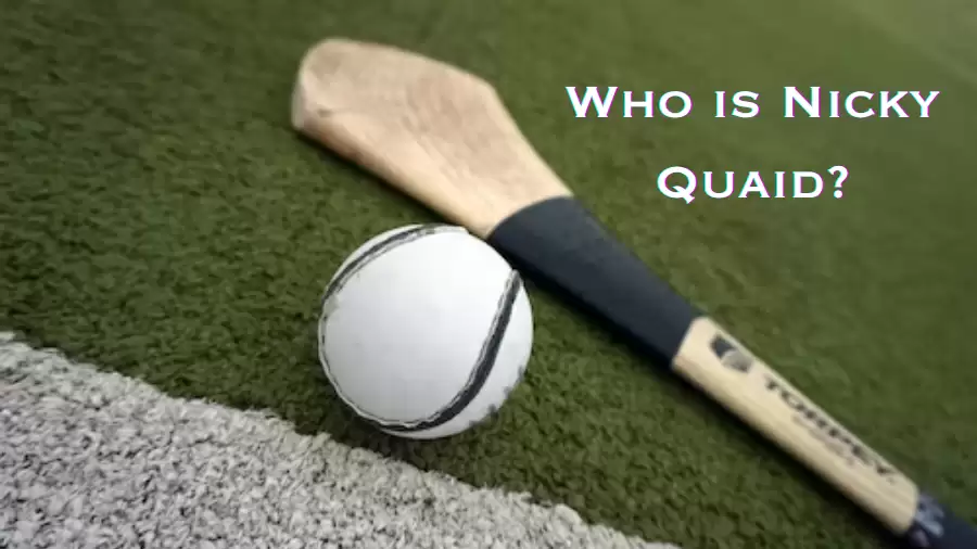Who is Nicky Quaid? Nicky Quaid Bio, Playing Career, Statistics, Honours
