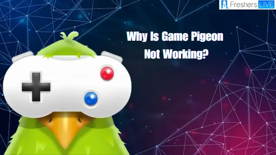 Why is Game Pigeon Not Working? How to Fix Game Pigeon Not Working?