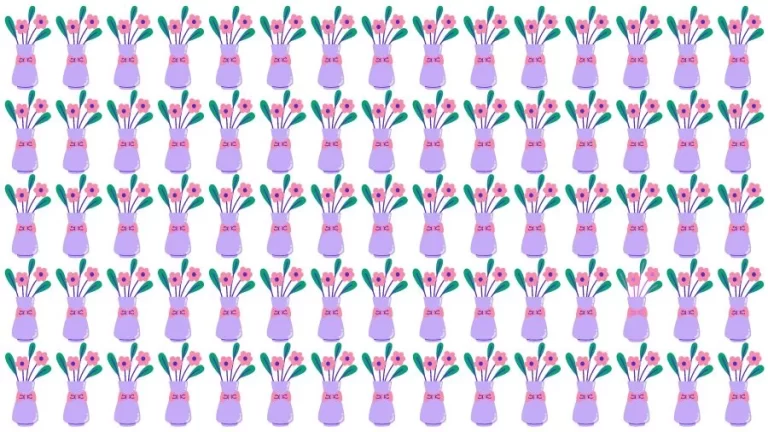 Optical Illusion Brain Challenge: If you have Eagle Eyes find the Odd Flower vase in 15 Seconds