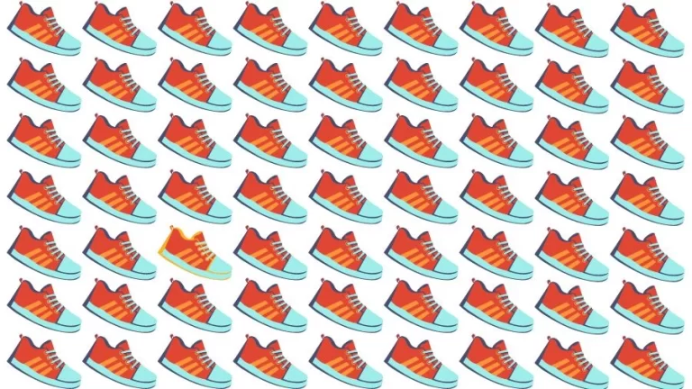 Optical Illusion Visual Test: If you have Eagle Eyes find the Odd Shoe in 18 Seconds