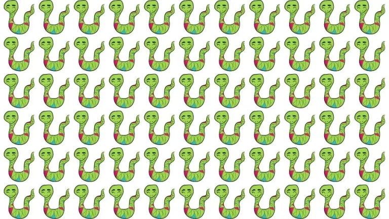 Optical Illusion Brain Challenge: If you have Eagle Eyes find the Odd Snake in 15 Seconds