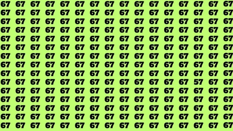 Observation Brain Challenge: If you have Eagle Eyes Find the number 57 among 67 in 12 Secs