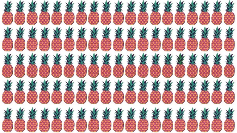 Optical Illusion Visual Test: If you have Eagle Eyes find the Odd Pineapple in 18 Seconds