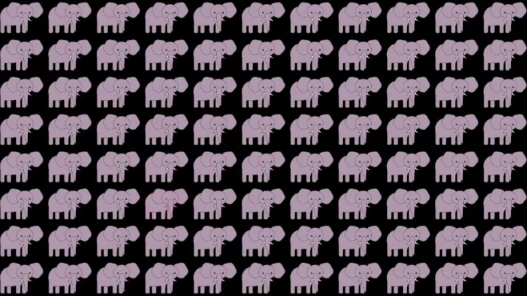 Optical Illusion Brain Challenge: If you have Eagle Eyes find the Odd Elephant in 15 Seconds