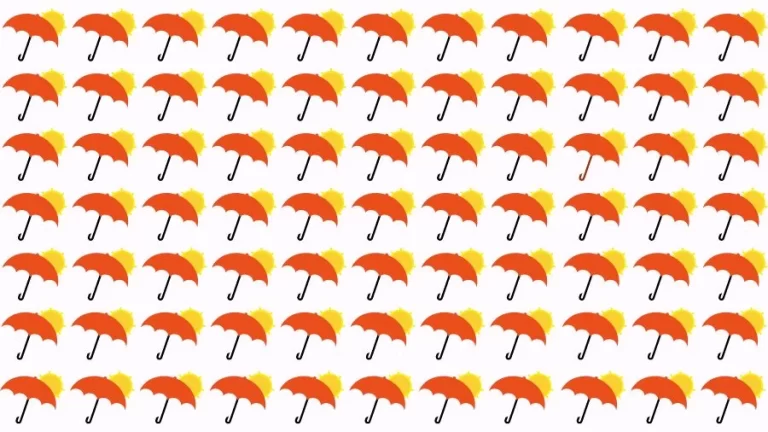 Optical Illusion Brain Challenge: If you have Eagle Eyes find the Odd Umbrella in 15 Seconds