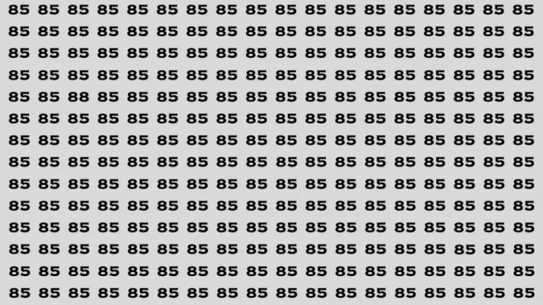 Observation Visual Test: If you have Keen Eyes Find the Number 88 among 85 in 15 Secs