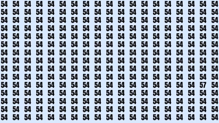 Optical Illusion Brain Challenge: If you have 50/50 Vision Find the number 57 in 18 Secs