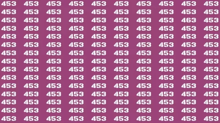 Observation Find it Out: If you have Hawk Eyes Find the number 463 in 20 Secs