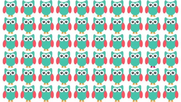 Optical Illusion Brain Challenge: If you have Eagle Eyes find the Odd Owl in 15 Seconds