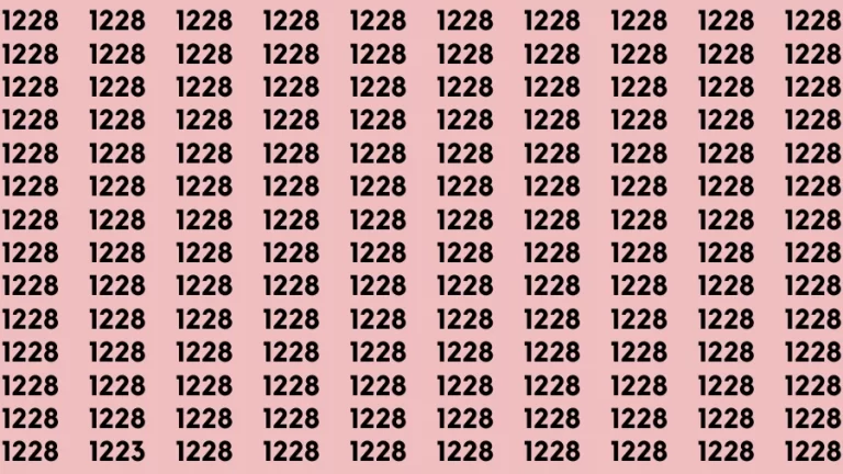 Observation Brain Challenge: If you have Hawk Eyes Find the Number 1223 among 1228 in 15 Secs