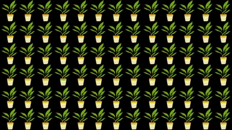 Optical Illusion Visual Test: If you have Eagle Eyes find the Odd Plant in 18 Seconds