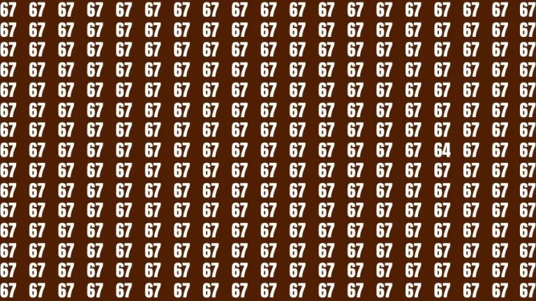 Optical Illusion Eye Test: If you have Eagle Eyes Find the Number 64 in 18 Secs