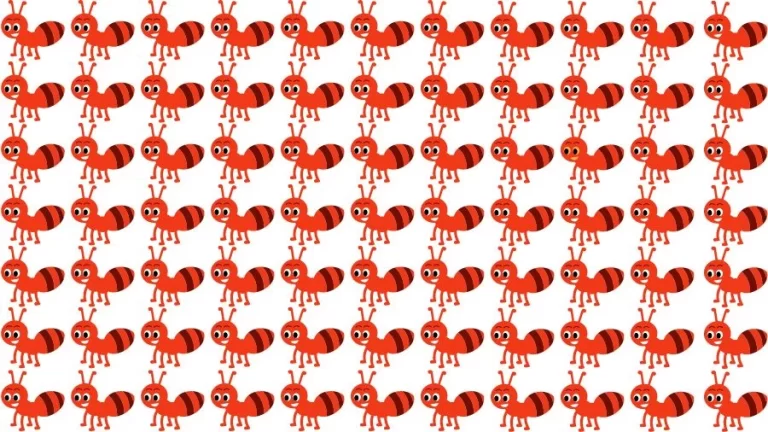 Optical Illusion Brain Challenge: If you have Eagle Eyes find the Odd Ant in 15 Seconds