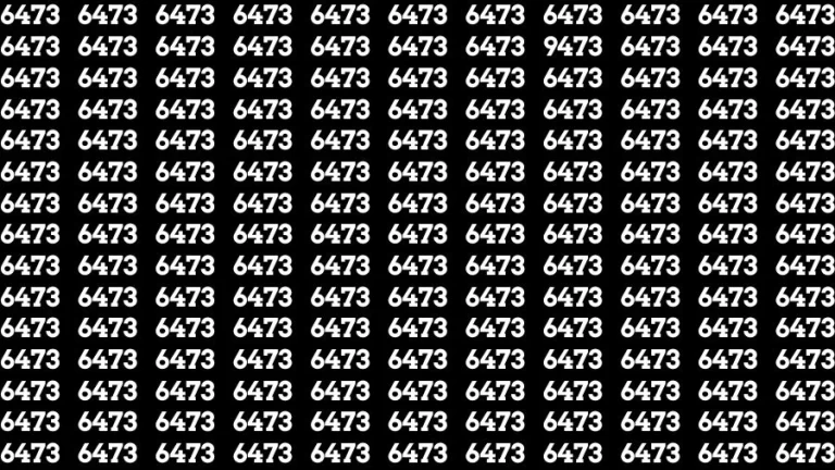 Observation Find it Out: If you have Sharp Eyes Find the Number 9473 in 16 Secs